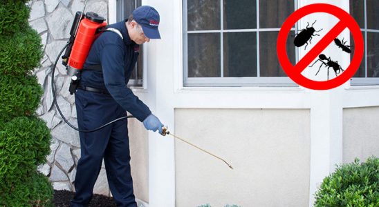 Yenimahalle Böcek İlaçlama böcek ilaçlama ve haşere kontrolü — ilaclama-tr.com